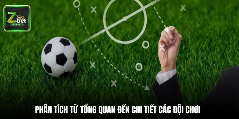 Phân tích từ tổng quan đến chi tiết các đội chơi